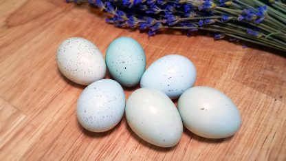 Quail Eggs Celadon