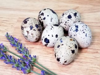 Quail Eggs Jumbo 2