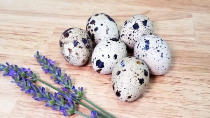 Quail Eggs Jumbo 2