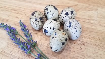 Quail Eggs Jumbo