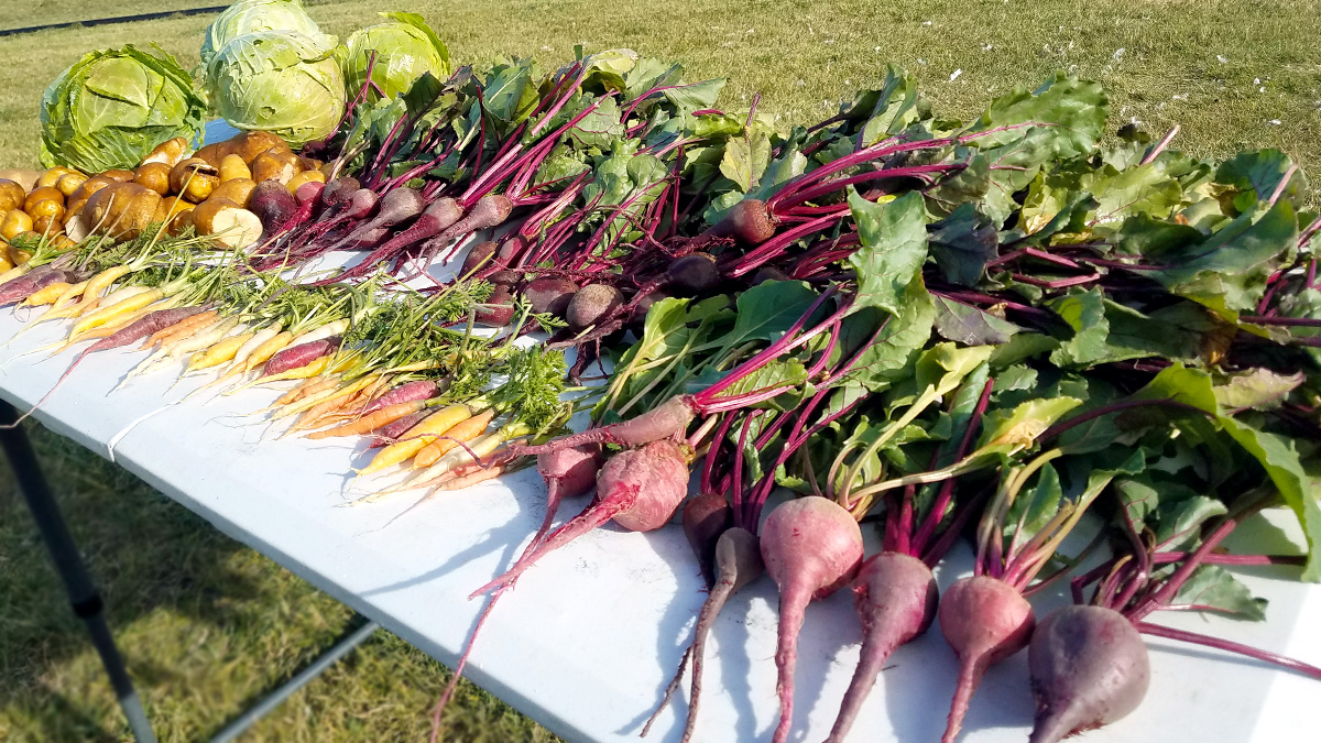 Kitchen Garden