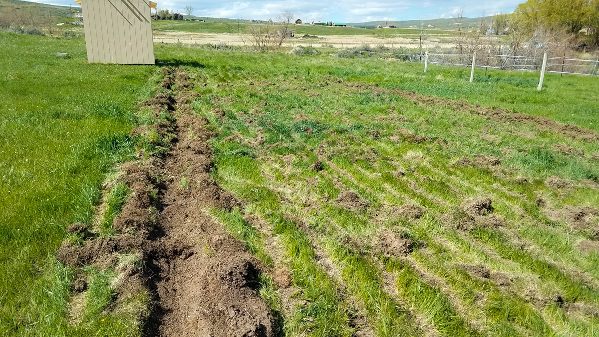 Kitchen Garden Breaking Ground Ground