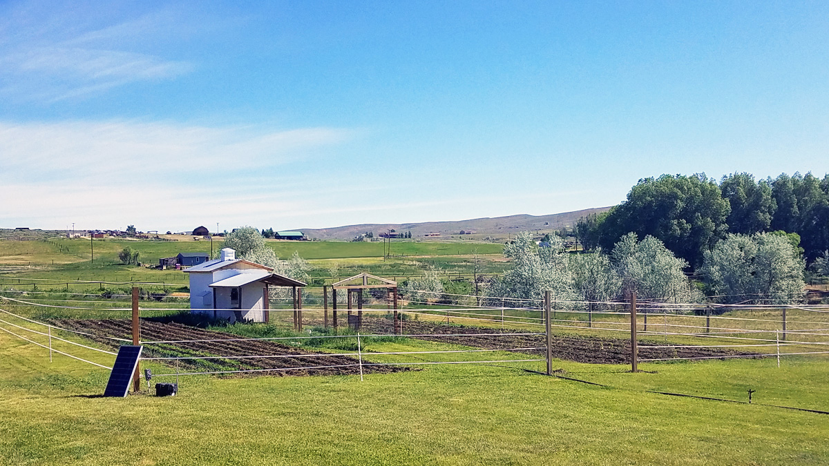 Kitchen Garden Two Years In