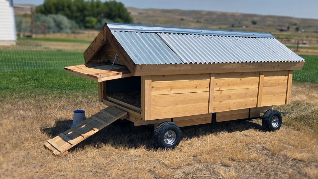Chicken Wagon